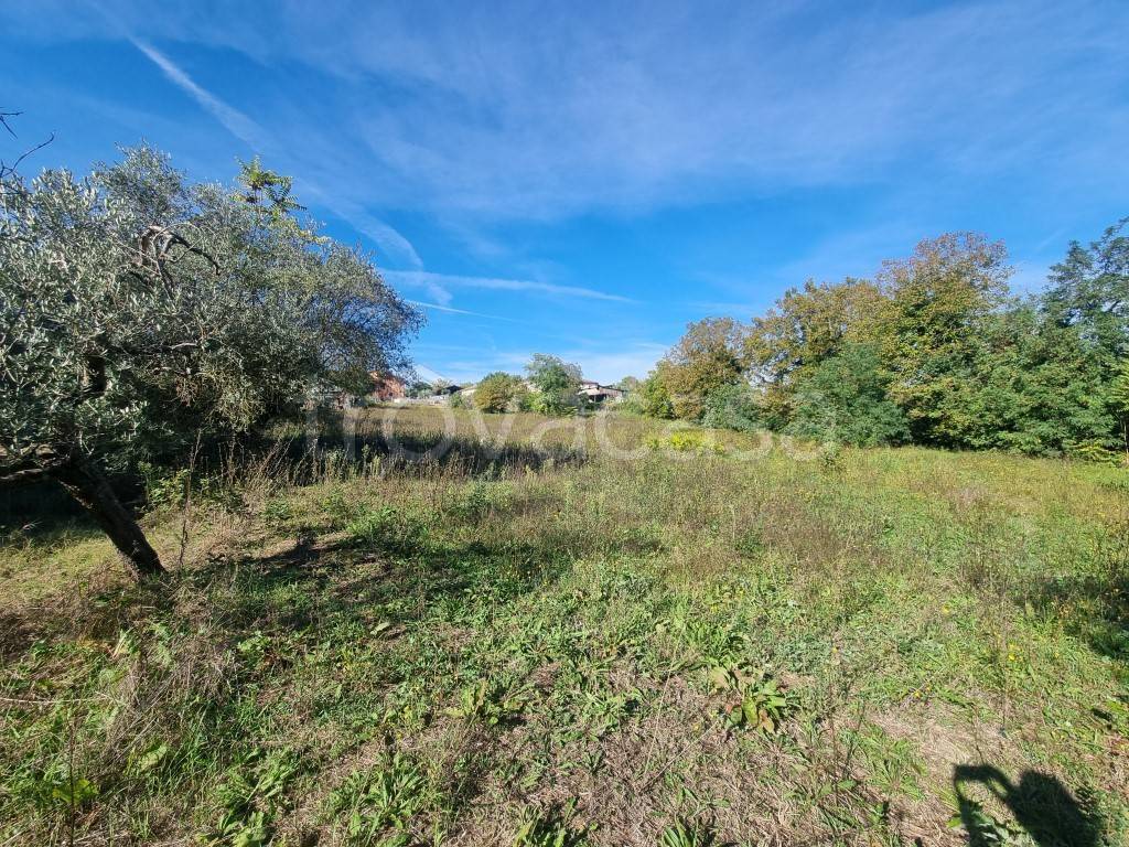 immagine annuncio 9 di 13