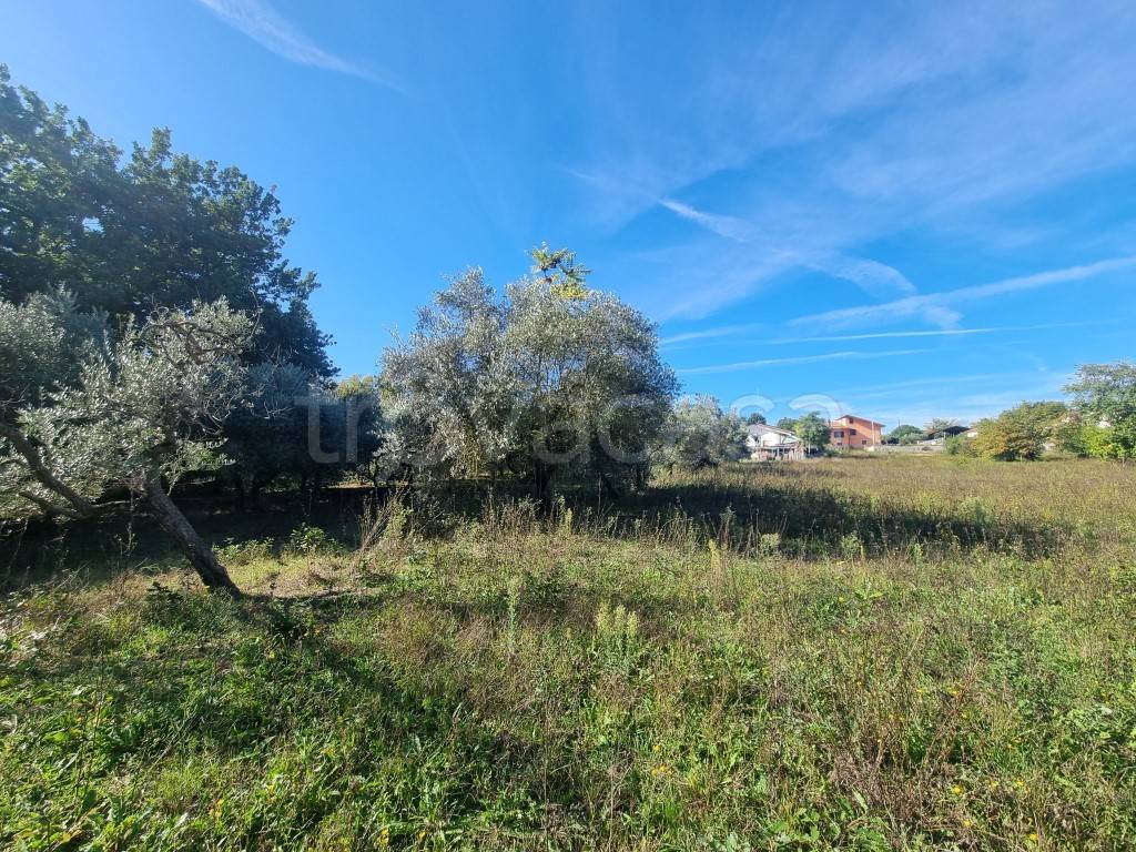 immagine annuncio 10 di 13