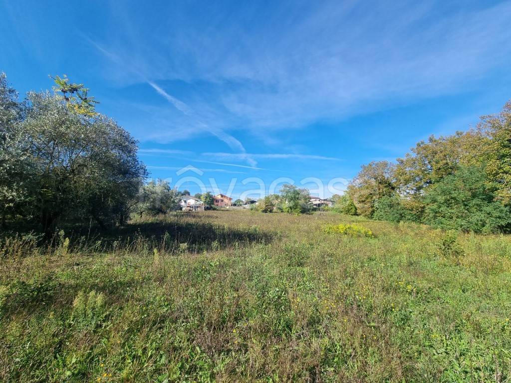 immagine annuncio 11 di 13