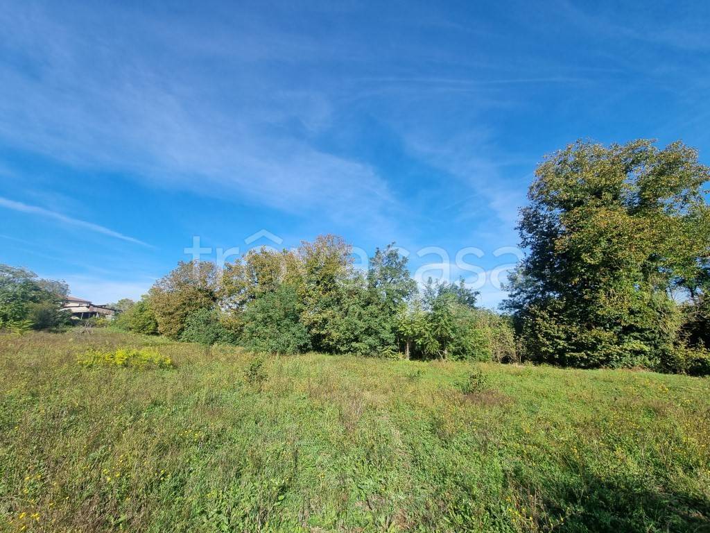 immagine annuncio 4 di 13