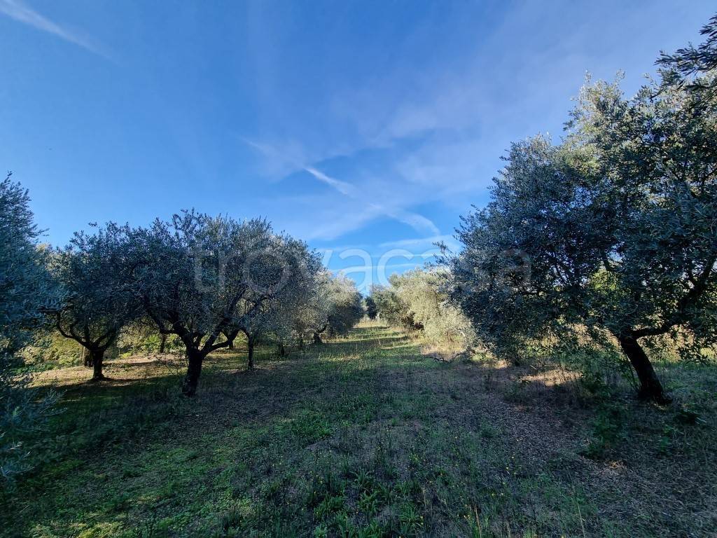 immagine annuncio 8 di 13