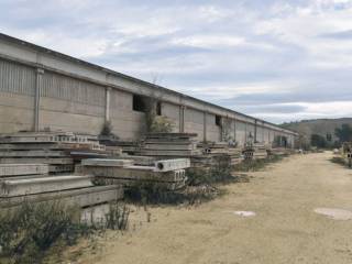 Capannone industriale all'asta a montecassiano località sant'egidio