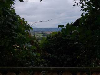 Terreno agricolo in vendita a montecastrilli 