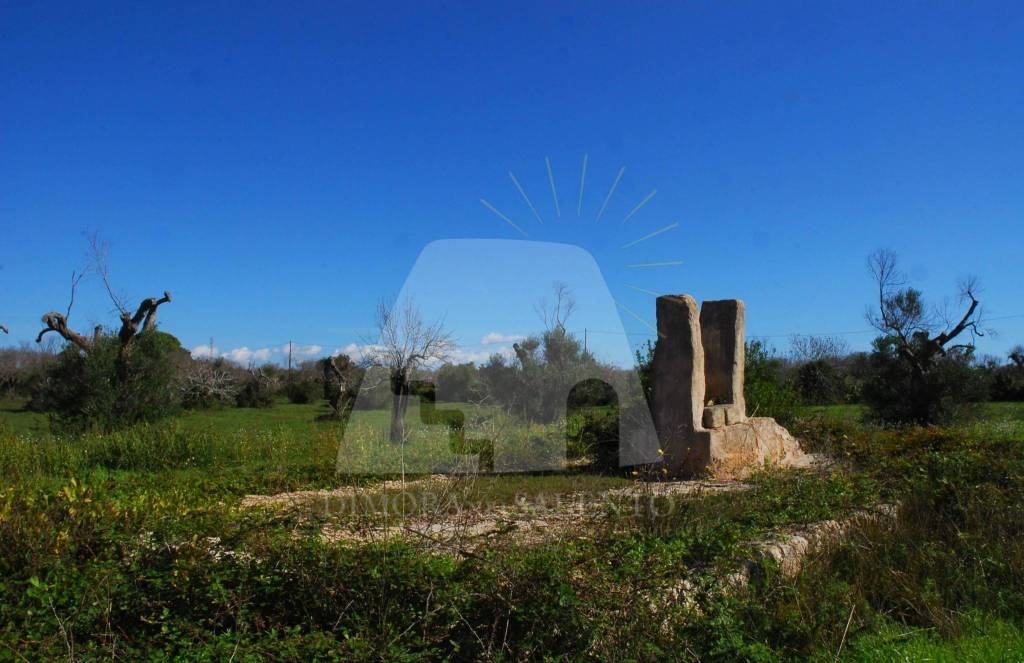 immagine annuncio 3 di 12