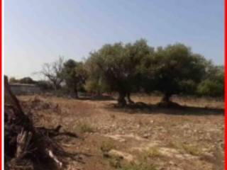 Terreno agricolo in vendita a melilli strada provinciale santa catrini passo di vè