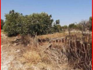 Terreno agricolo in vendita a melilli strada provinciale santa catrini passo di vè