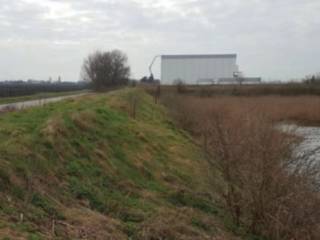 Terreno edificabile in vendita a san pietro in casale via altedo