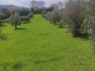 Terreno agricolo in vendita a perugia 