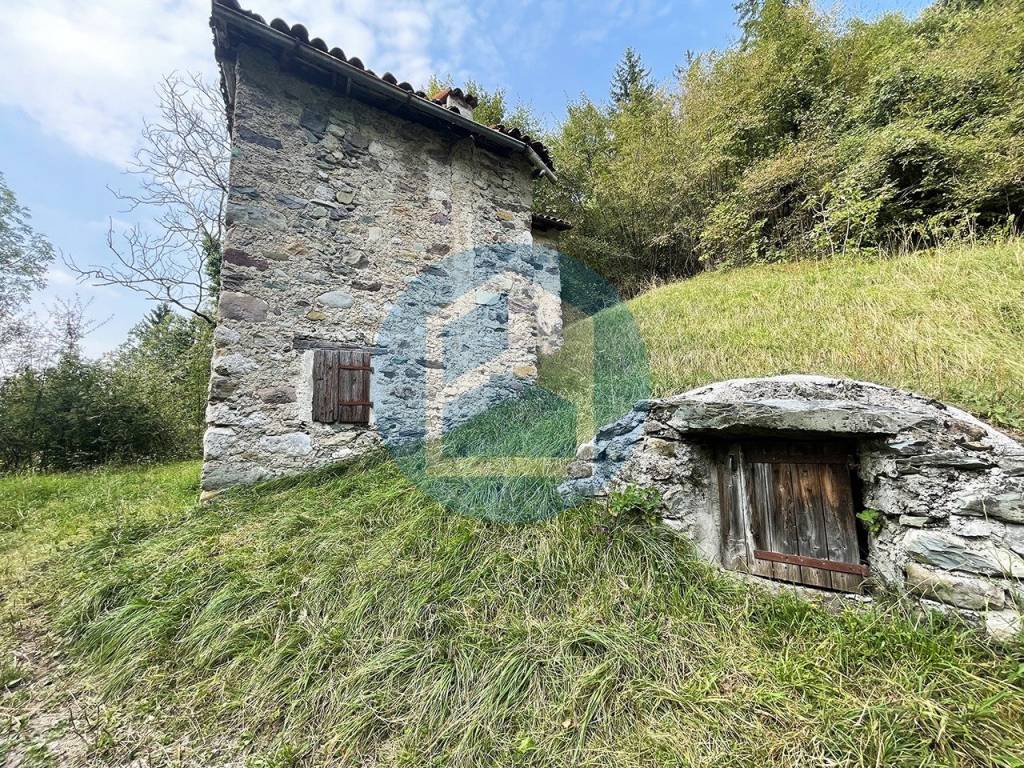 immagine annuncio 2 di 7