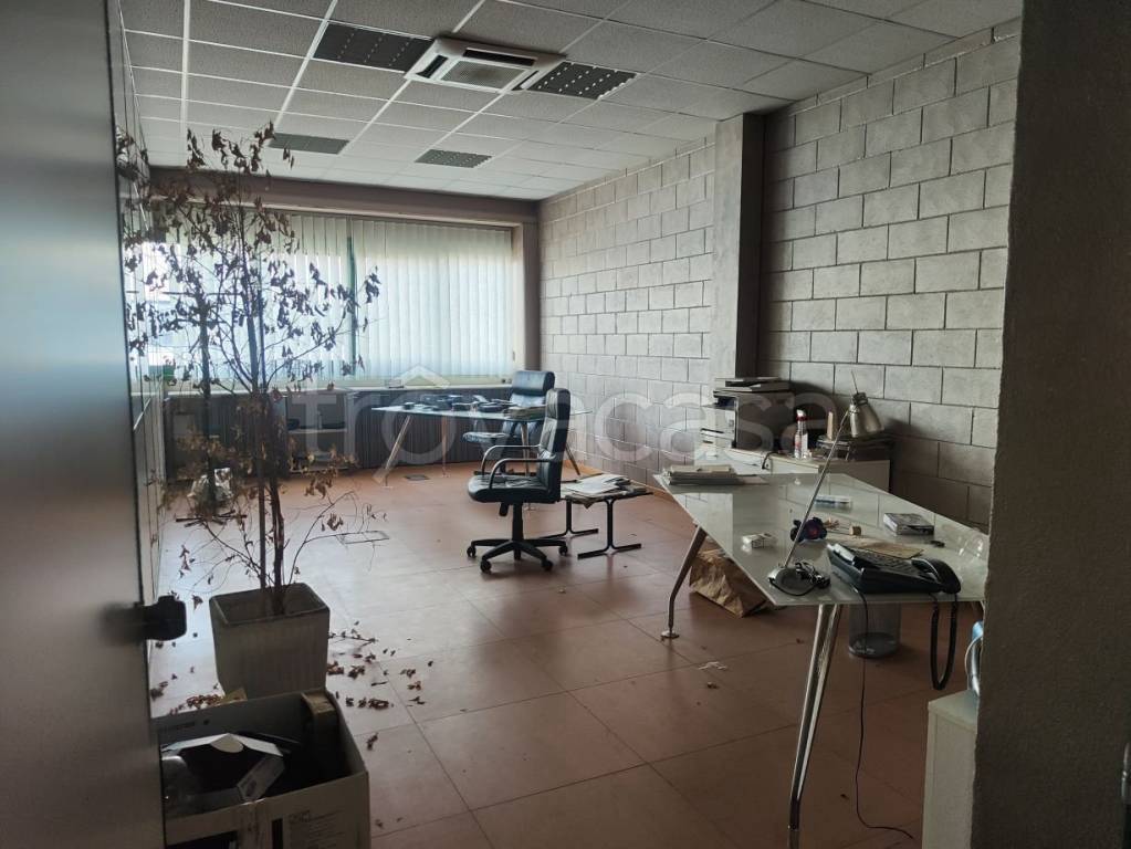 immagine annuncio 6 di 12