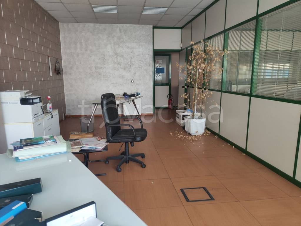 immagine annuncio 9 di 12