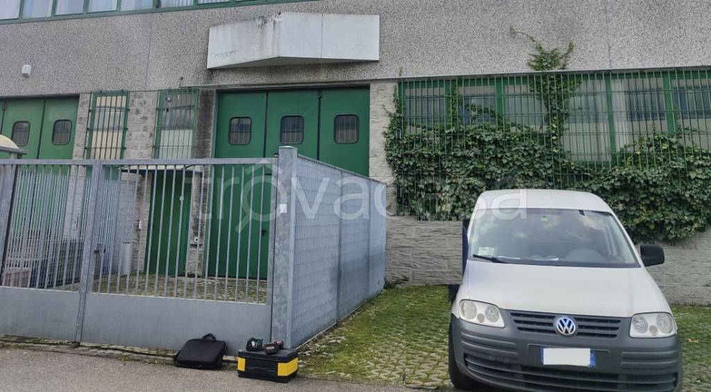 immagine annuncio 11 di 12