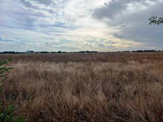 Terreno agricolo in vendita a foggia strada statale adriatica