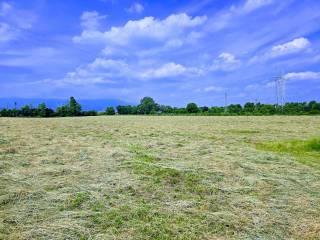 Terreno agricolo in vendita a fontaniva san giorgio