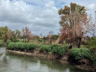 Terreno agricolo in vendita a roma 