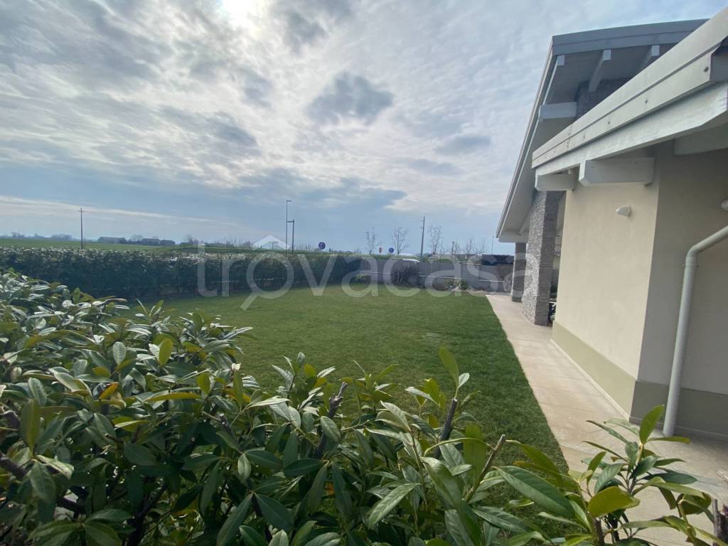 immagine annuncio 3 di 6