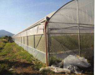 Terreno agricolo in vendita a fondi via del perito