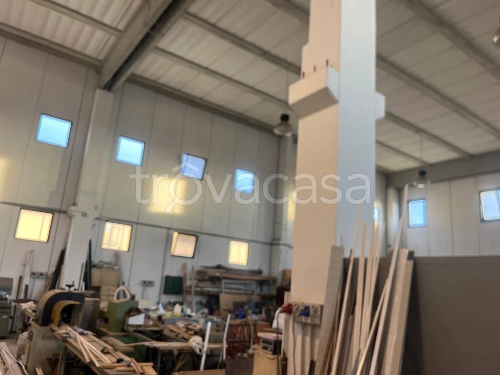 immagine annuncio 1 di 6