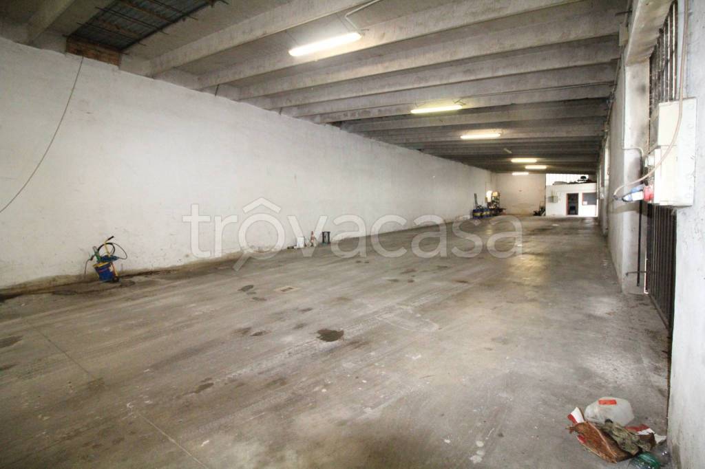 immagine annuncio 2 di 14