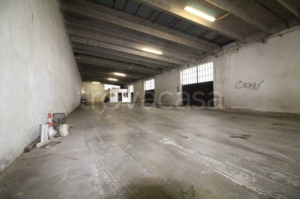 immagine annuncio 3 di 14