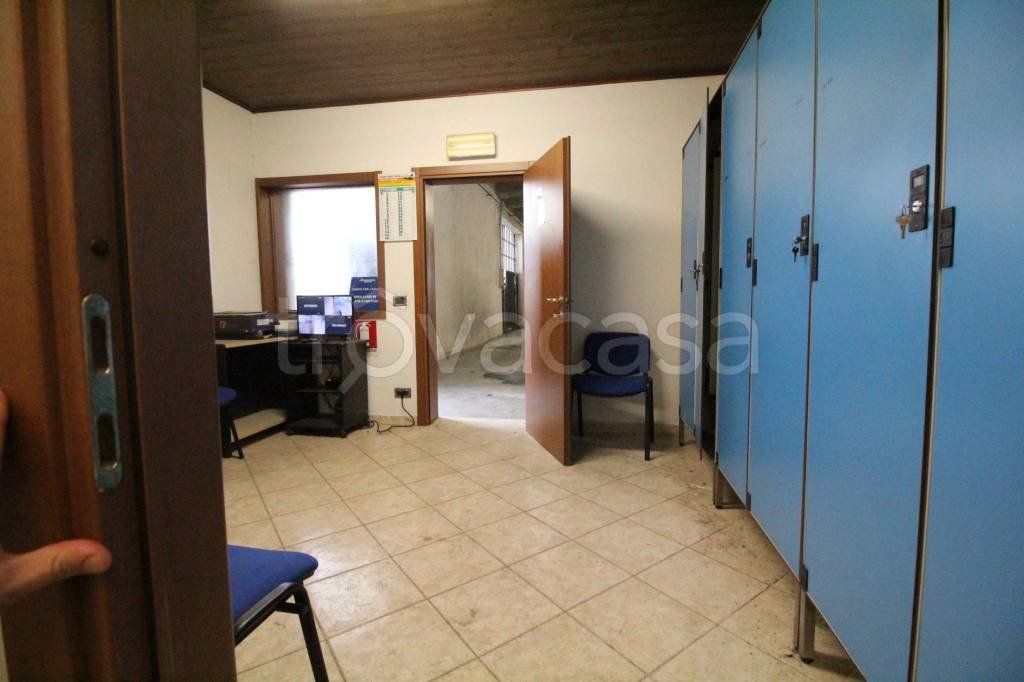 immagine annuncio 9 di 14