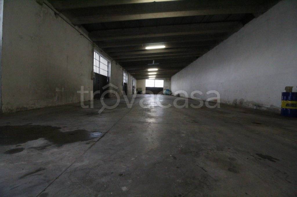 immagine annuncio 10 di 14