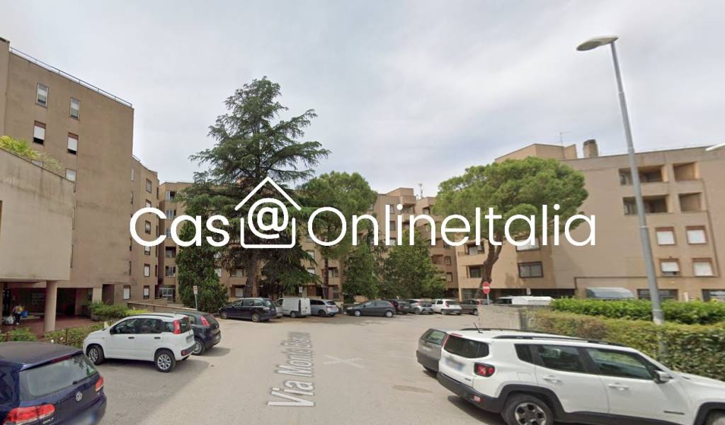 immagine annuncio 7 di 11