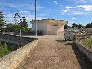 Terreno agricolo in vendita a polignano a mare sp120