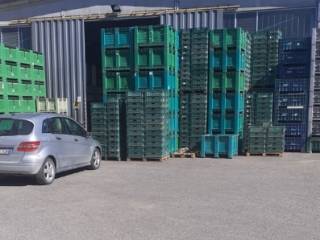 Azienda agricola all'asta a mirandola via guagnellina, 9