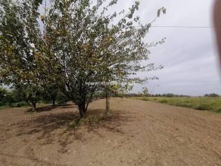 Terreno residenziale in vendita a crotone 