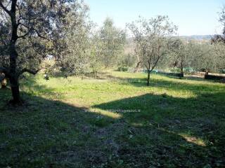 Terreno residenziale in vendita a castelfiorentino località castelnuovo d'elsa