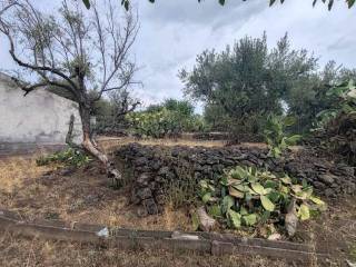 Terreno agricolo in vendita a santa maria di licodia 