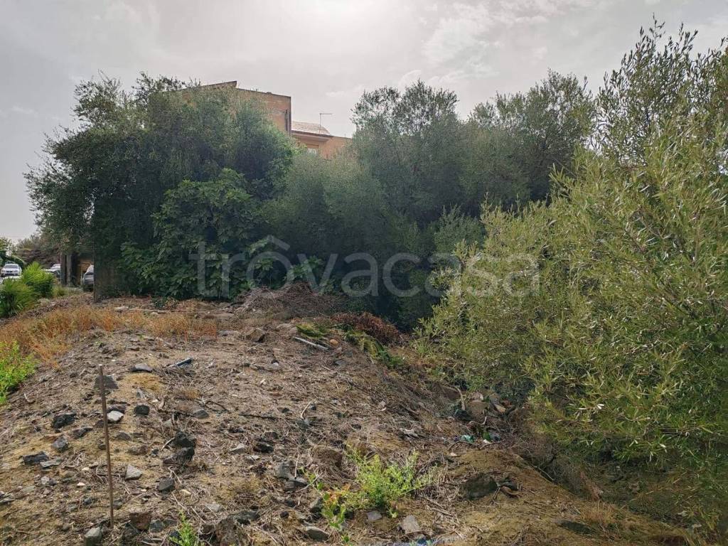 immagine annuncio 3 di 7