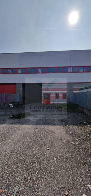 immagine annuncio 3 di 15