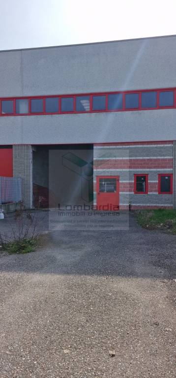 immagine annuncio 4 di 15