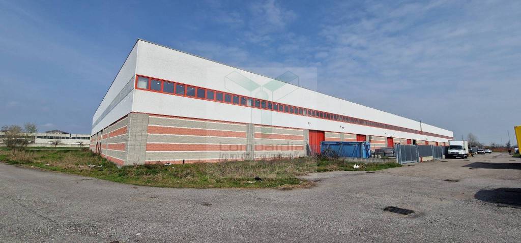 immagine annuncio 5 di 15