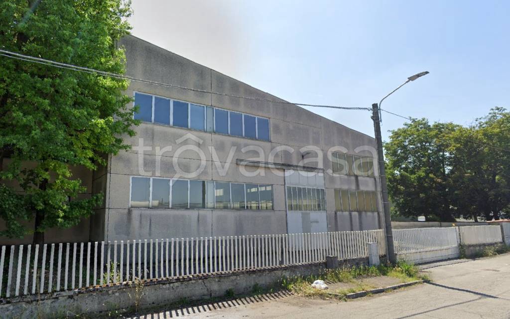 immagine annuncio 3 di 15