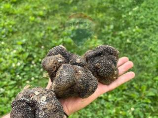 Terreno agricolo in vendita a mezzane di sotto località postuman