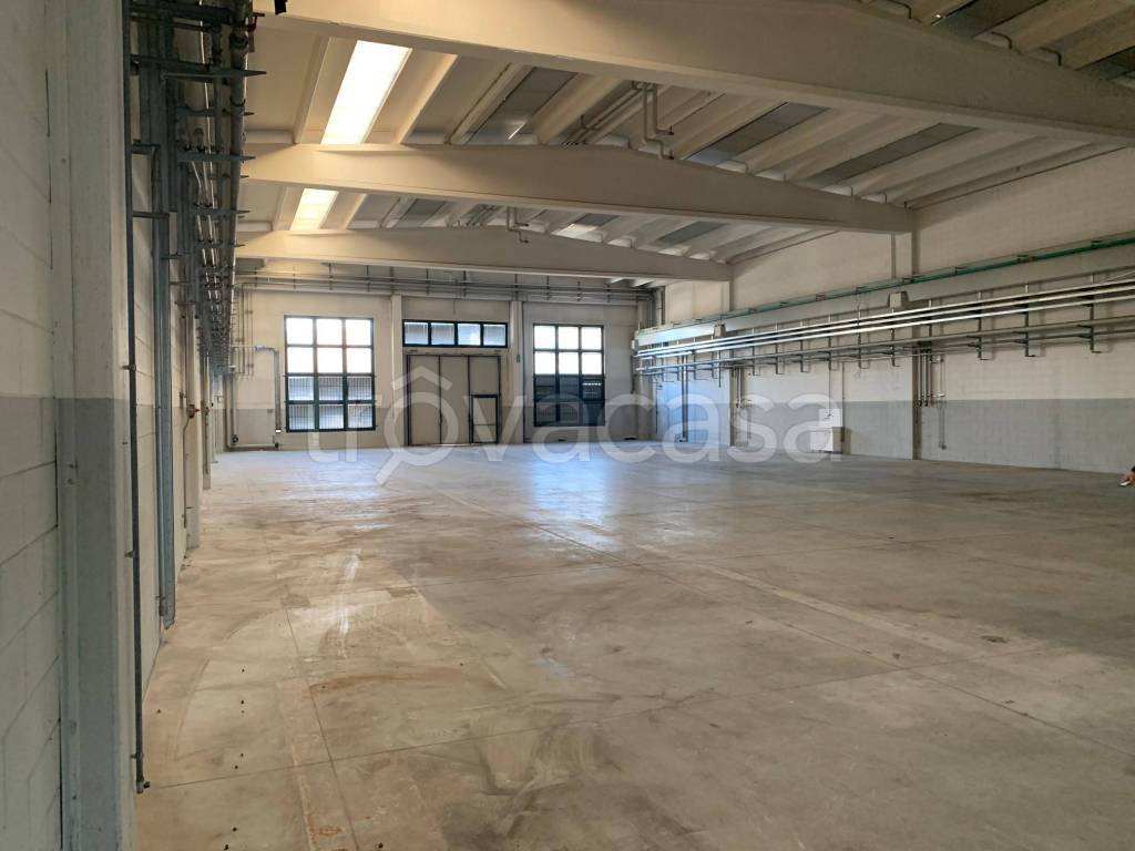 immagine annuncio 1 di 7