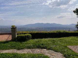 Rustico in affitto a capannori via cimitero di petrognano