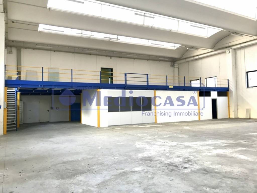 immagine annuncio 5 di 15