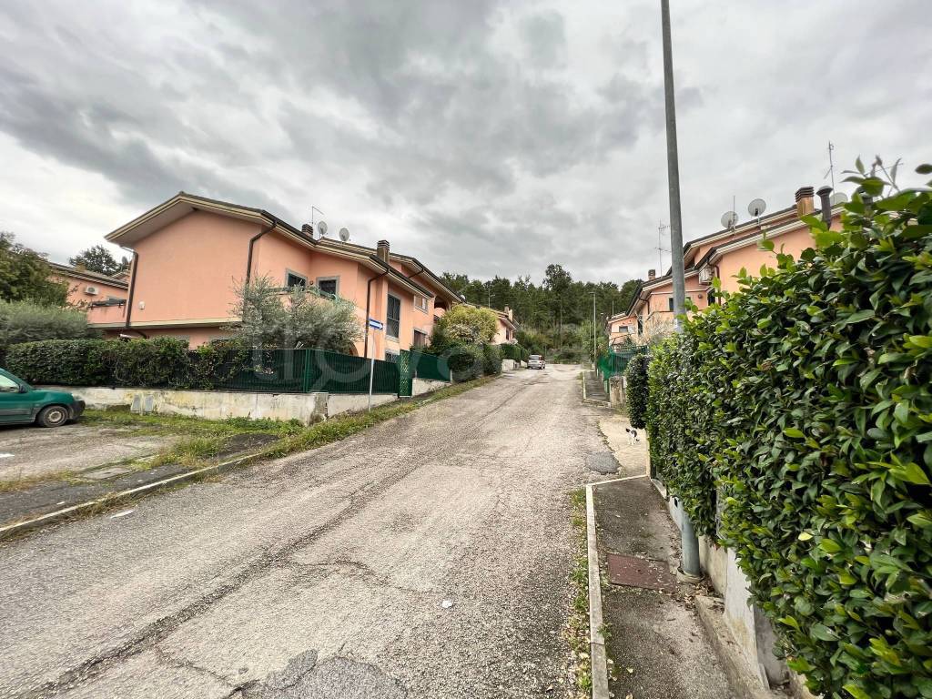 immagine annuncio 13 di 14