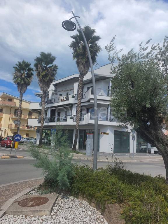 immagine annuncio 7 di 12