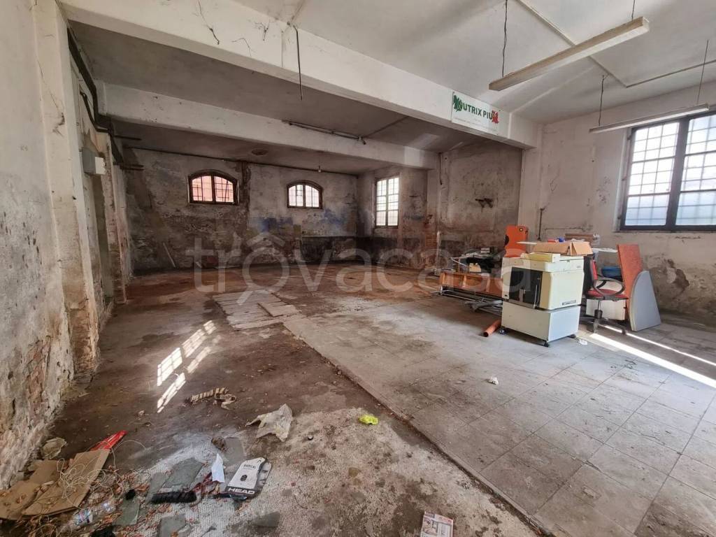 immagine annuncio 11 di 12