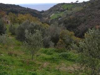 Terreno agricolo in vendita a pollica 