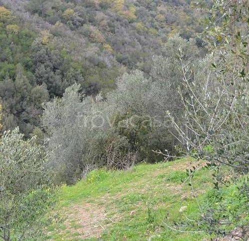 immagine annuncio 4 di 8