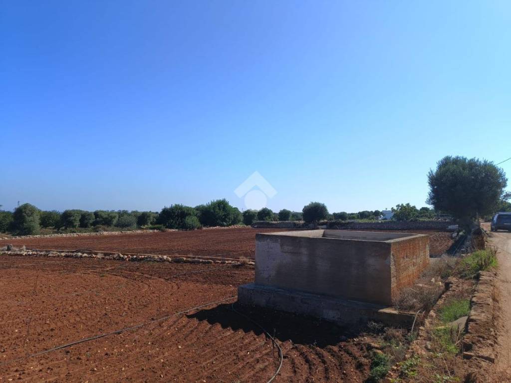 immagine annuncio 6 di 14