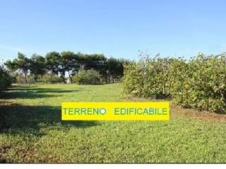 Terreno agricolo in vendita a oleggio 