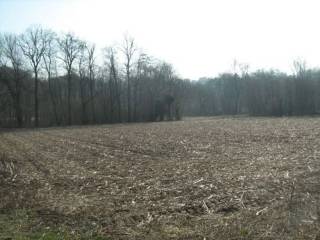 Terreno agricolo in vendita a invorio via orio s.n.c.