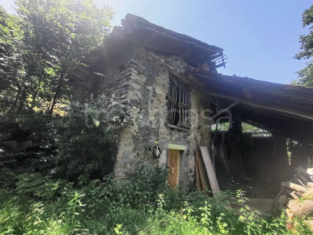 immagine annuncio 9 di 11
